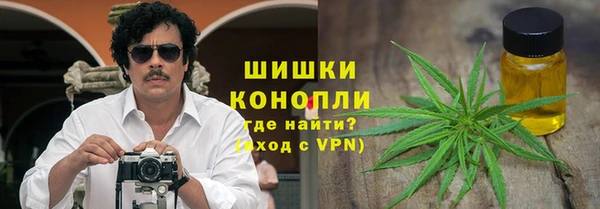 индика Балабаново