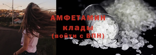 индика Балабаново
