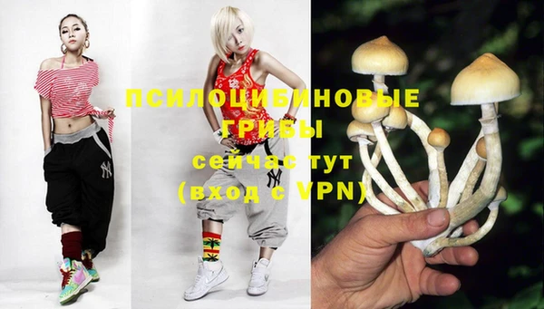 индика Балабаново