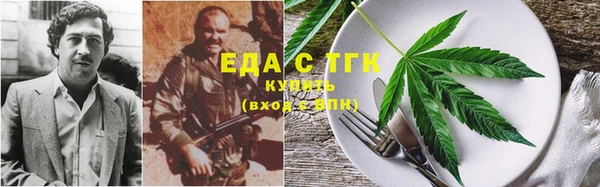 индика Балабаново