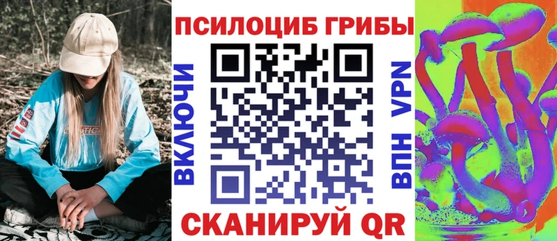 Псилоцибиновые грибы ЛСД  продажа наркотиков  Пересвет 