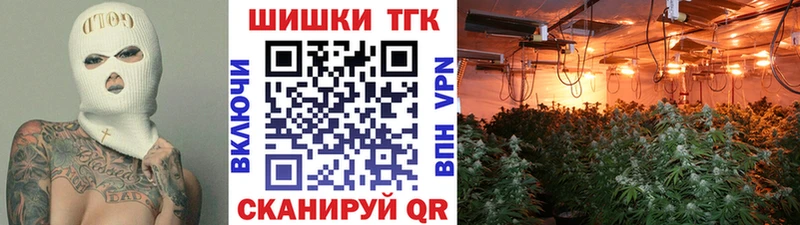 Канабис сатива  где купить наркоту  Пересвет 